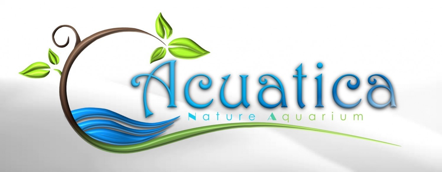 Acuático Acuario_Logo